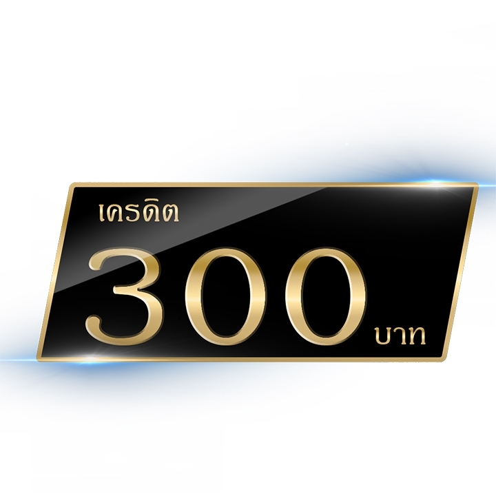 เครดิต 300